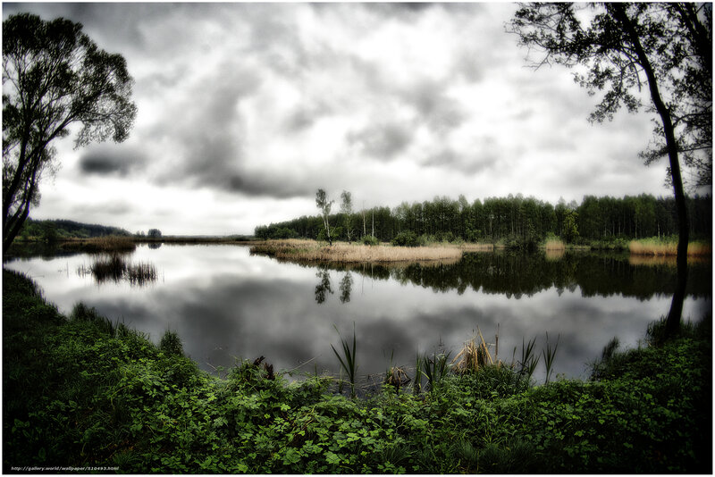 Lake with Reeds and Trees — Green, Dramatic, Photograph