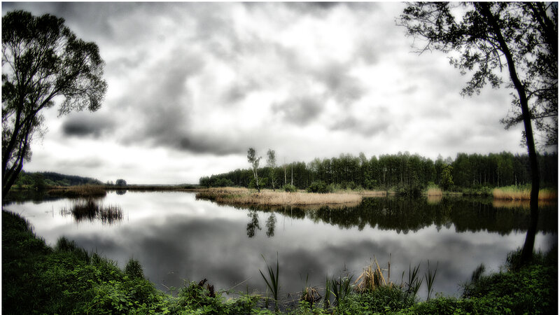 Lake with Reeds and Trees — Green, Dramatic