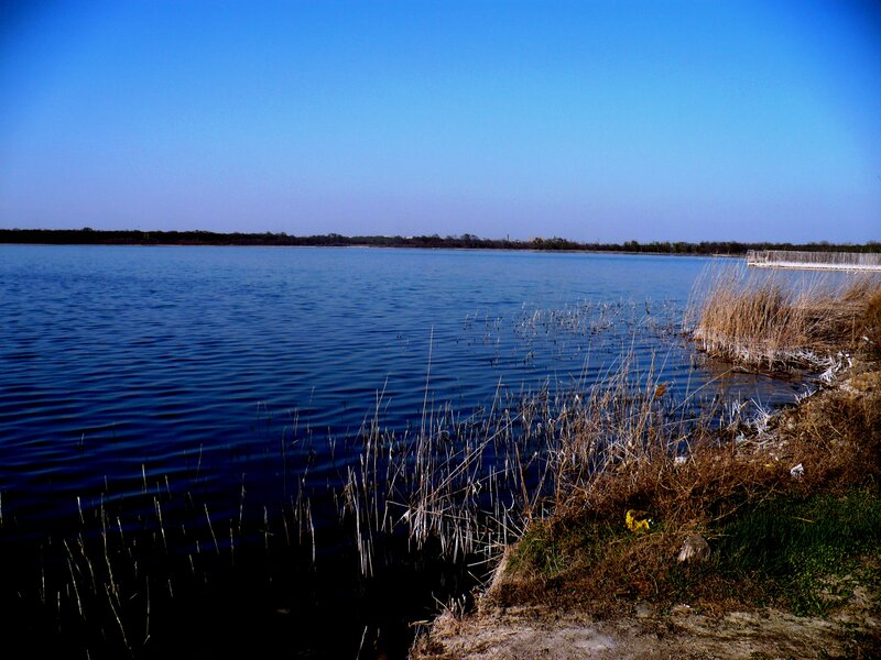 Lake with Reeds — Blue, Serene, Afternoon
