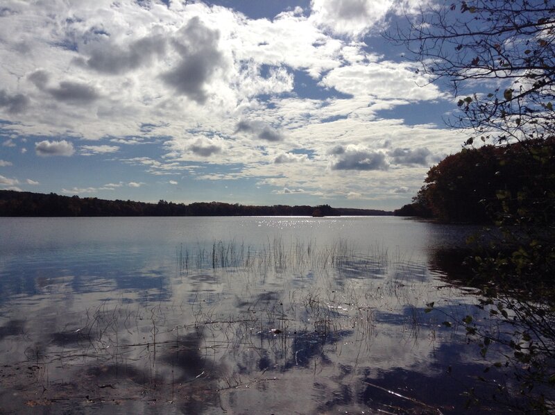 Lake with Reeds — Blue, Serene, Autumn