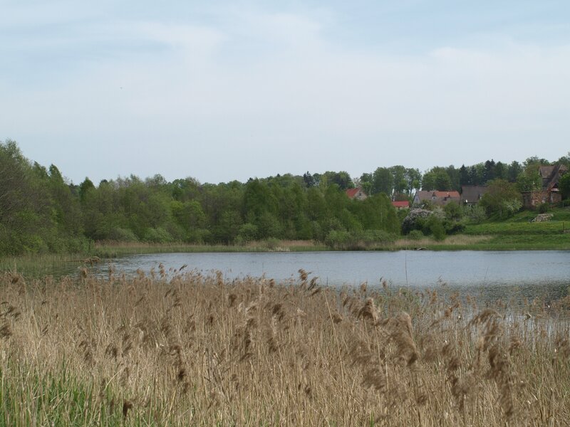 Lake with Reeds — Brown
