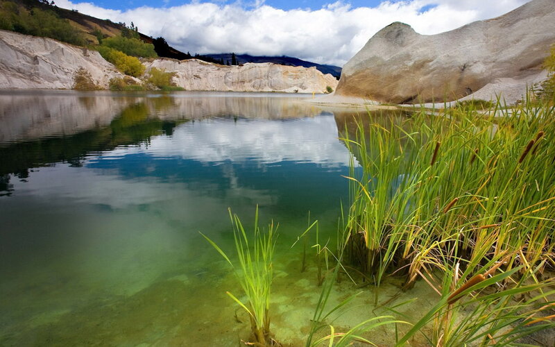 Lake with Reeds — Green