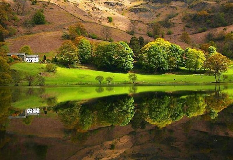 Lake with Reflection — Green, Serene