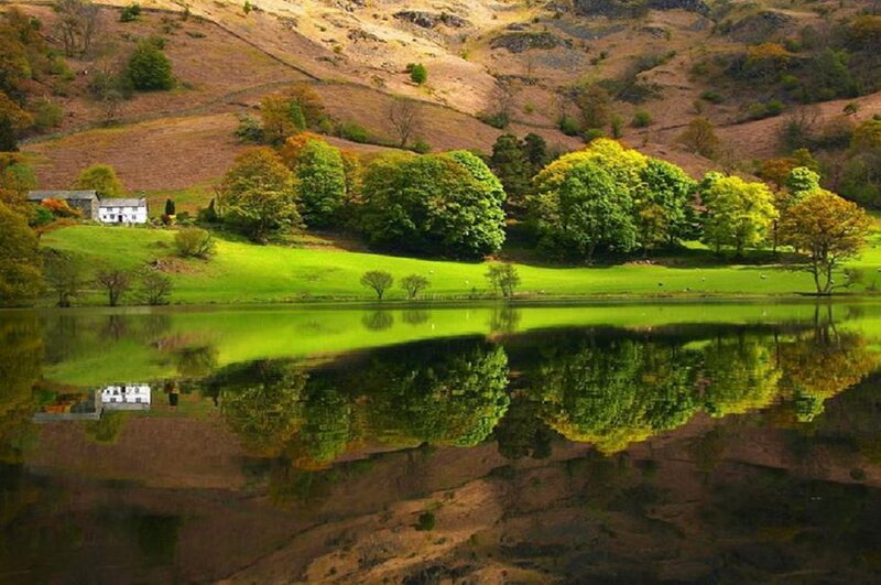 Lake with Reflection — Green