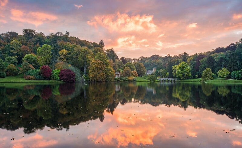 Lake with Reflection — Pink