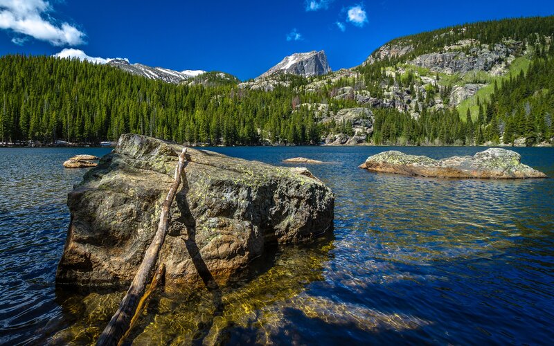 Lake with Rock and Log
