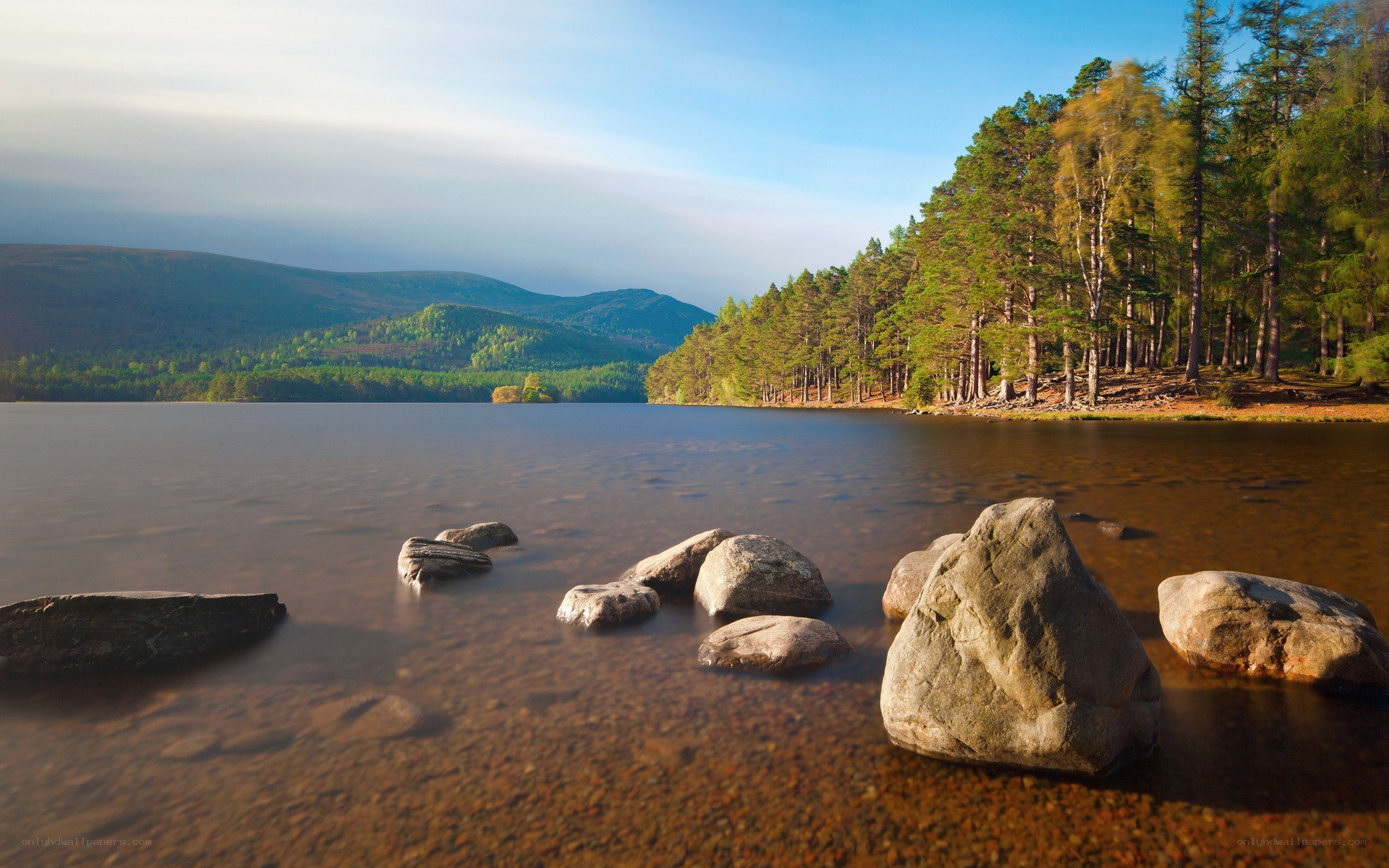 Lake with rocks and forest