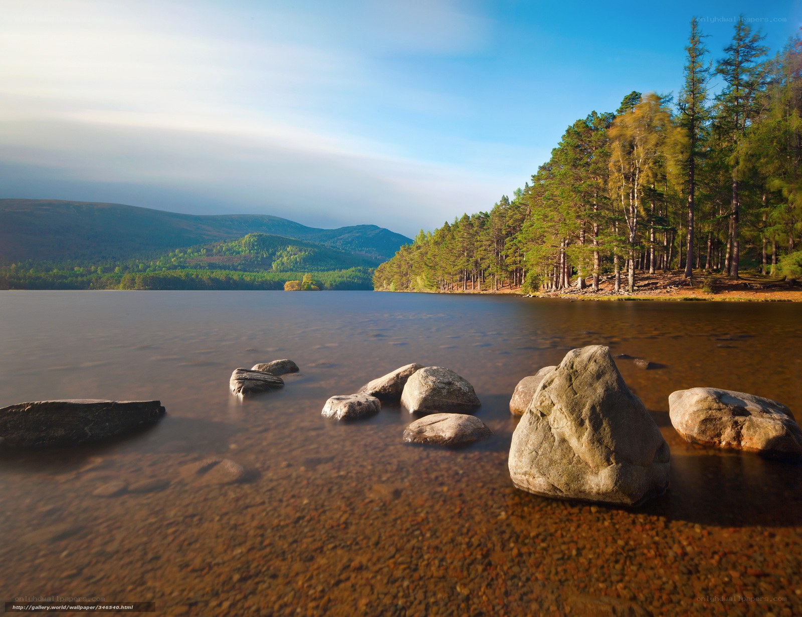 Lake with rocks and forest