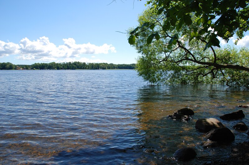 Lake with Rocks and Tree