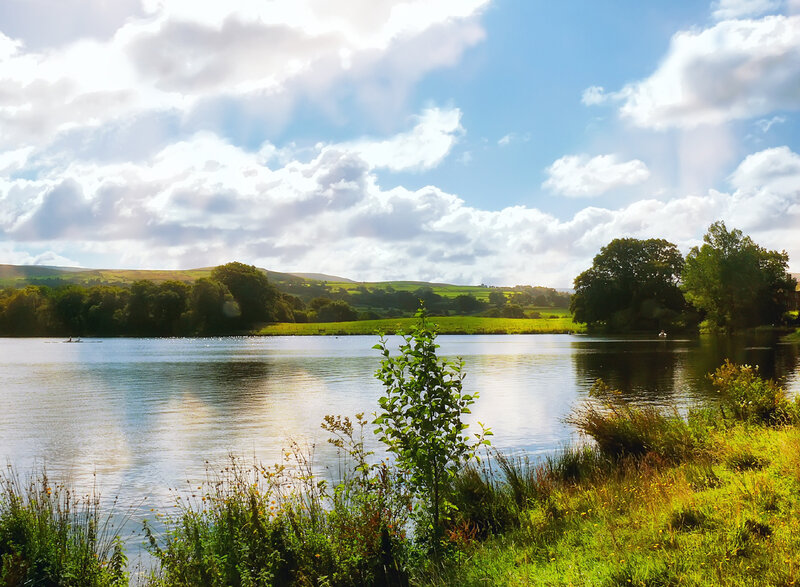 Lake with Rowers