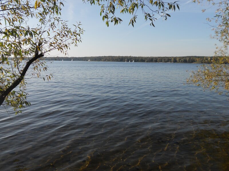 Lake with sailboats and trees