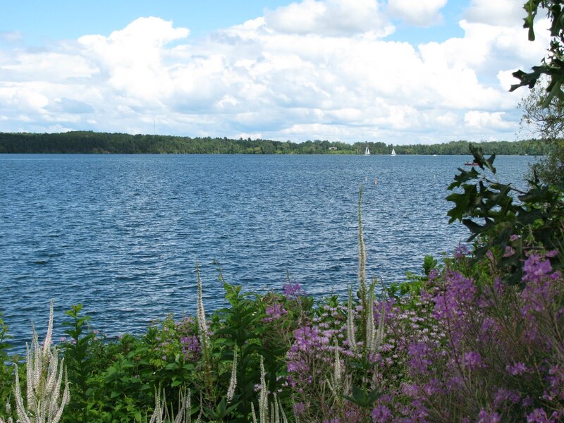 Lake with Sailboats