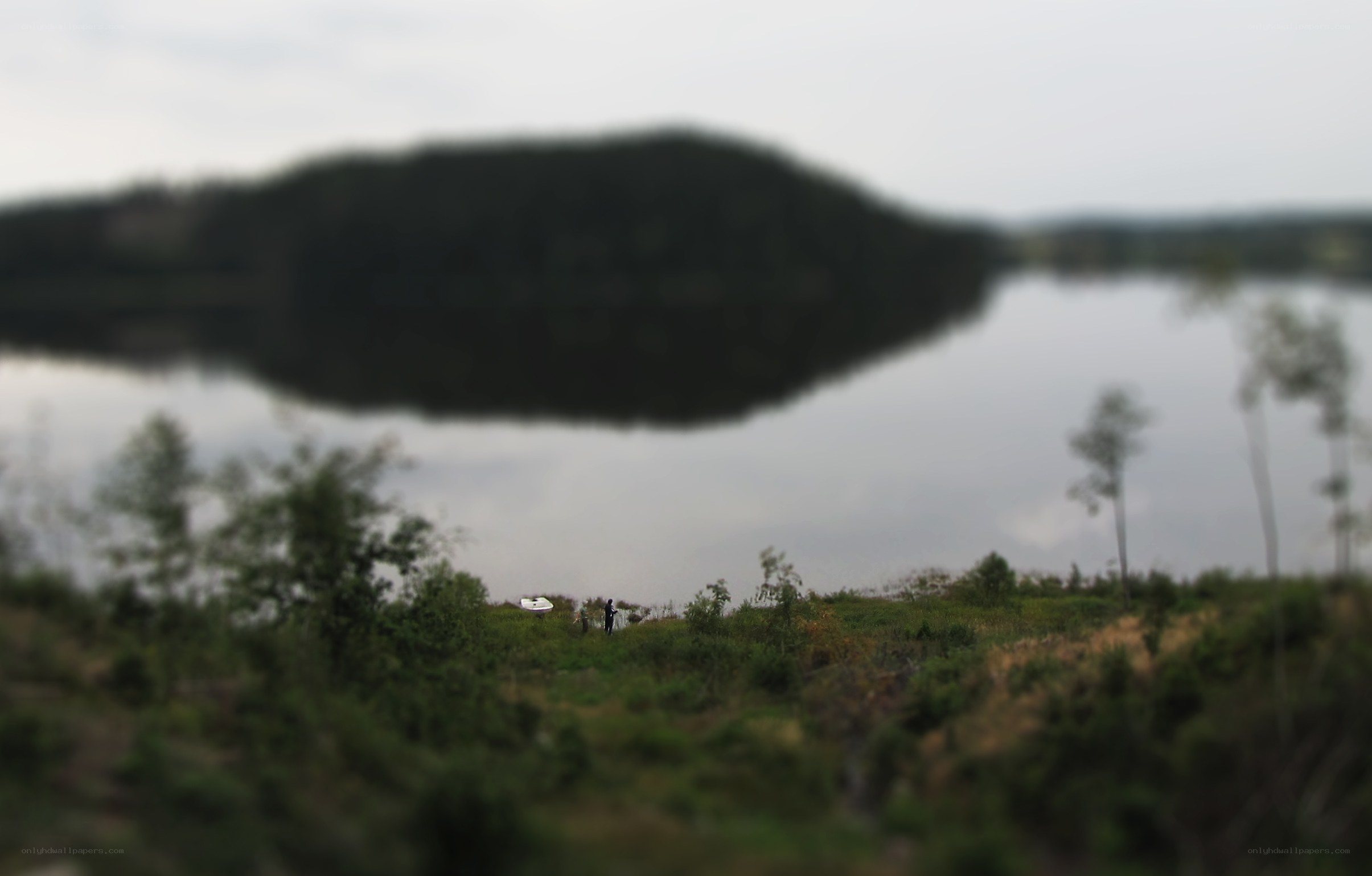 Lake with small island