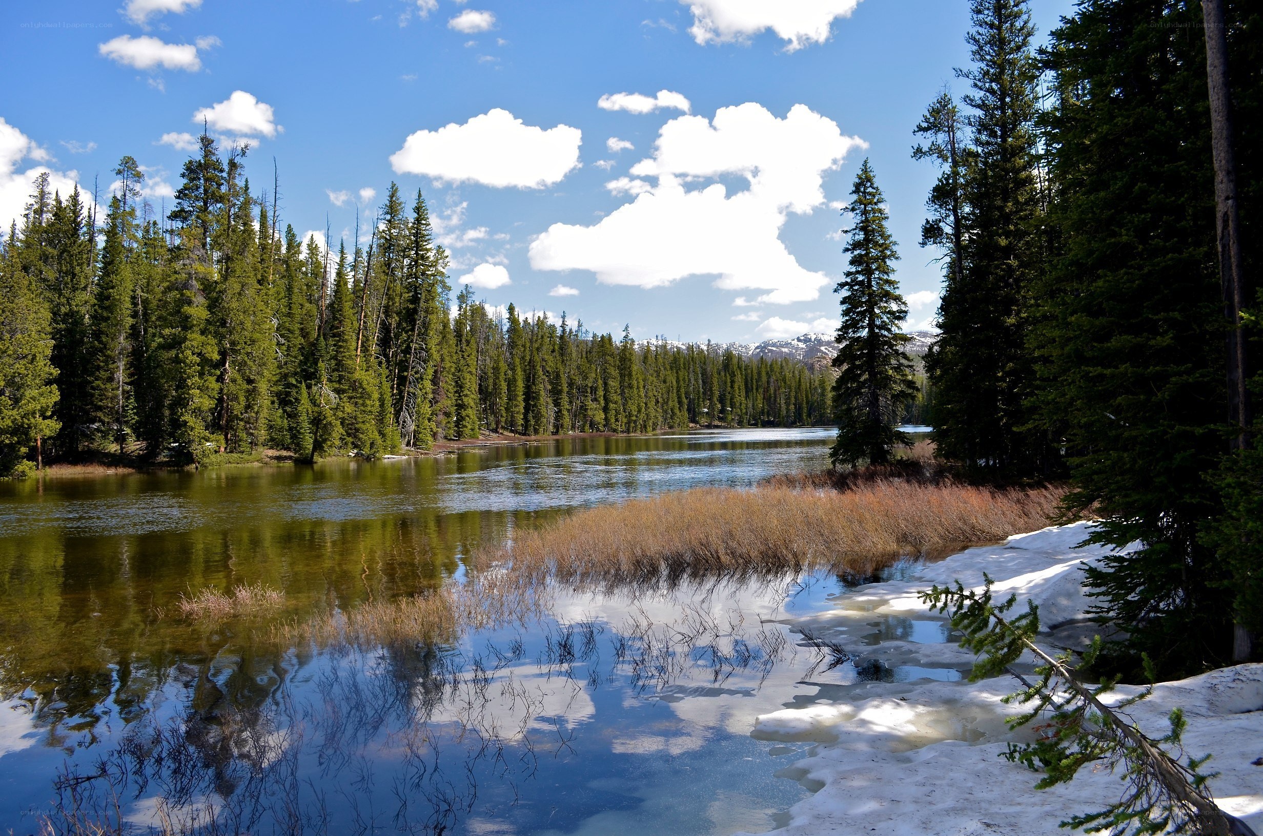 Lake with snow and forest