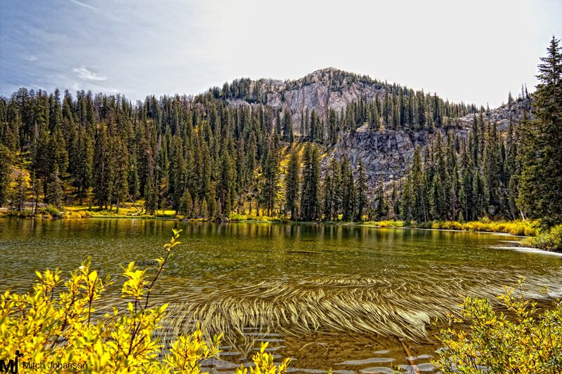Lake with Submerged Plants