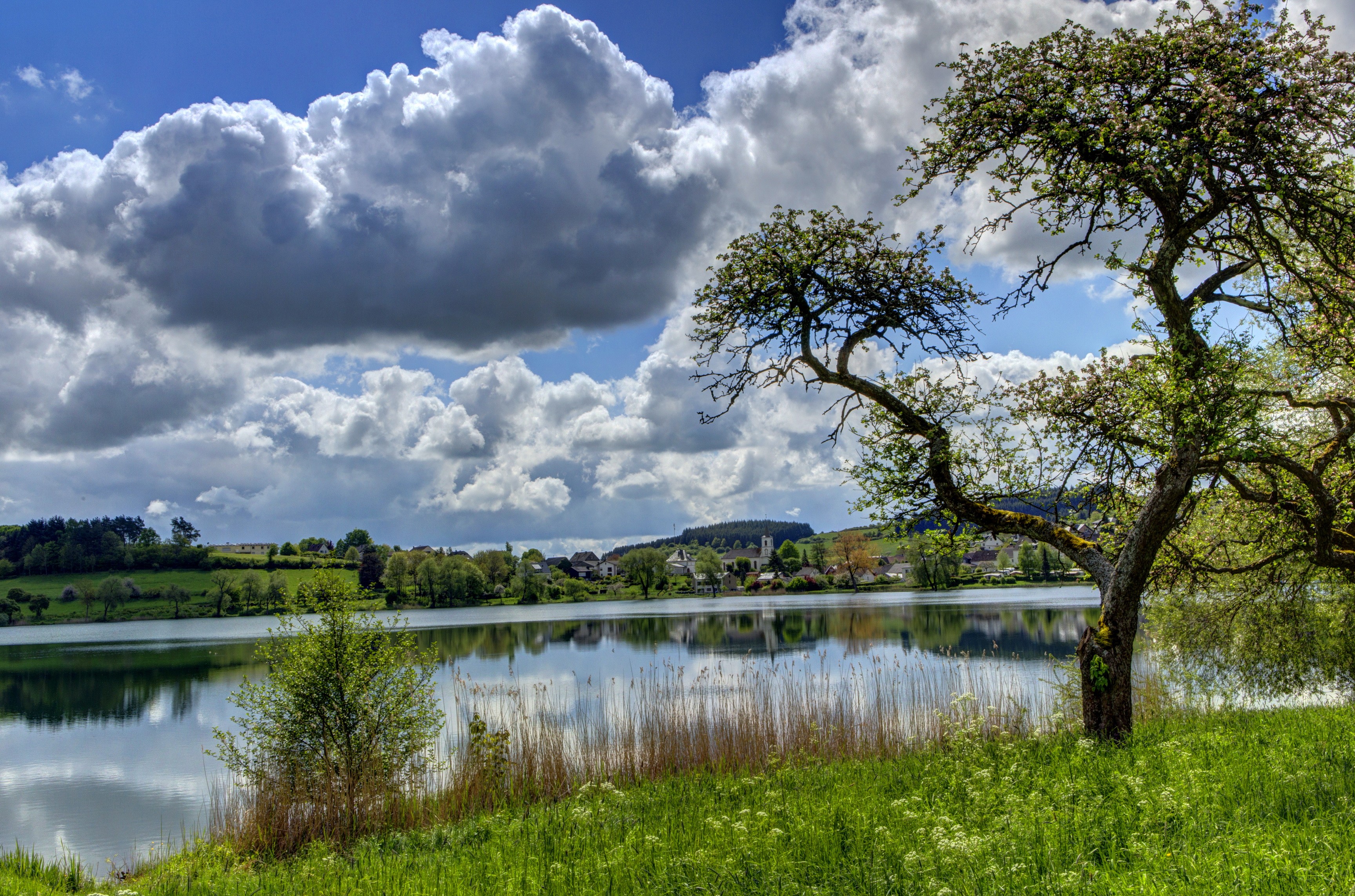 Lake with tree and village