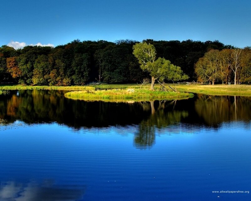 Lake with Tree Island — Blue, Serene