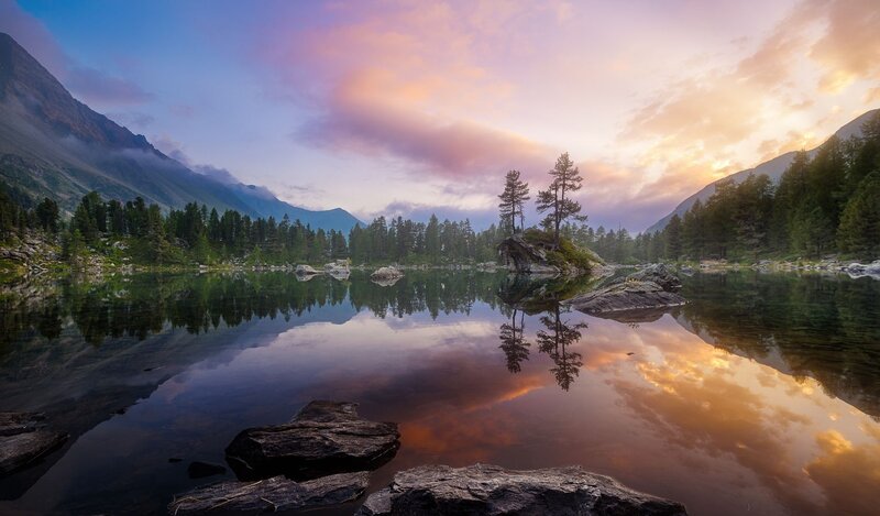 Lake with Tree Island
