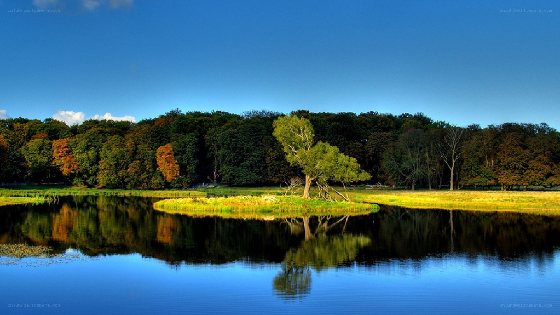 Lake with tree on island
