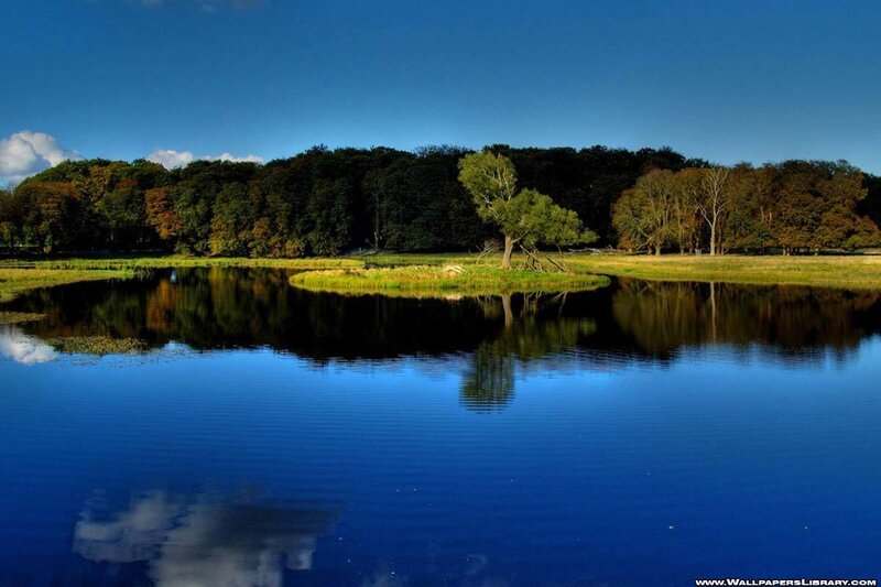 Lake with tree reflection