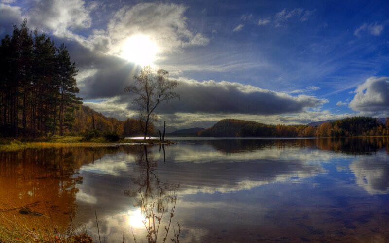 Lake with Tree Reflection — Blue, Dramatic