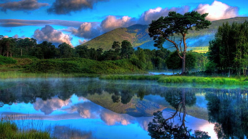 Lake with Tree Reflection — Blue, Serene, Morning