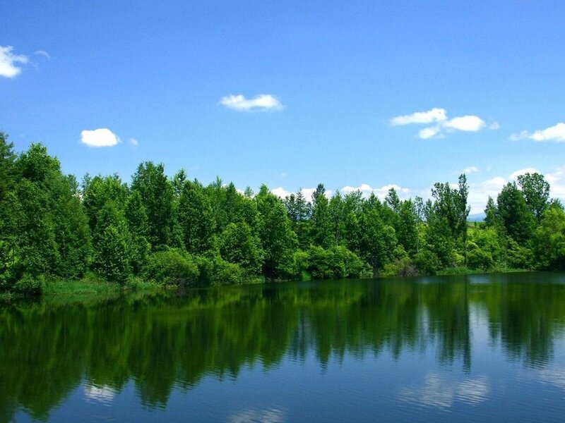 Lake with Tree Reflection — Blue