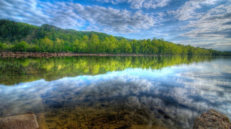 Lake with Tree Reflection — Green