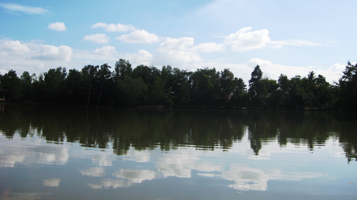 Lake with tree reflection