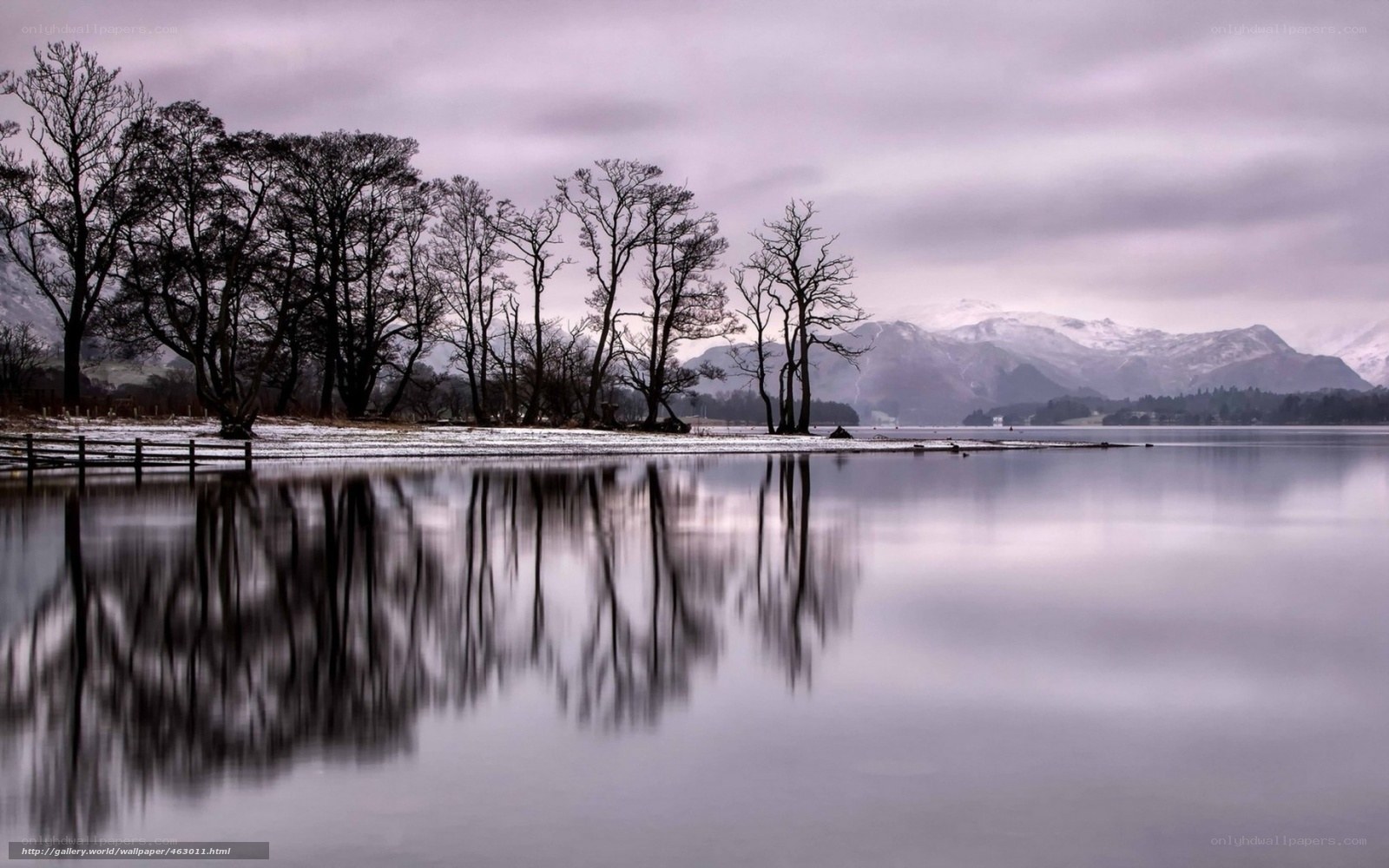 Lake with tree reflections
