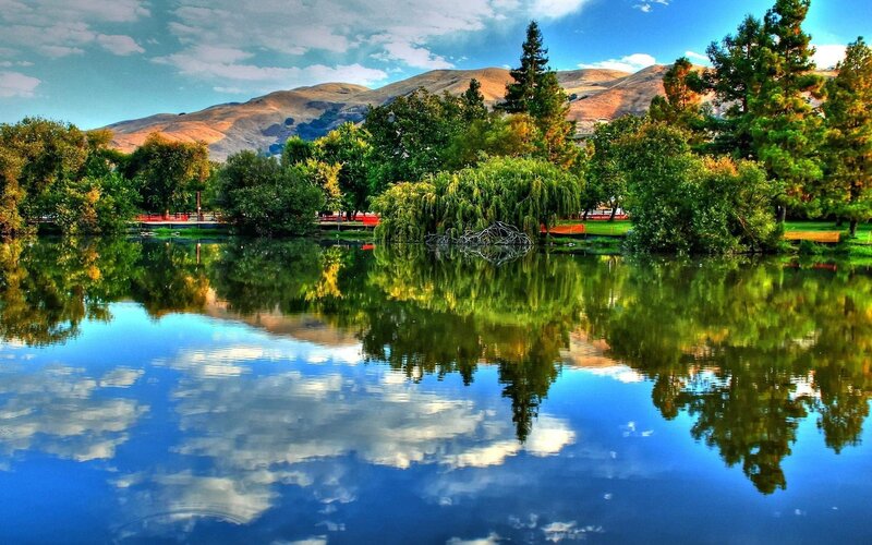 Lake with Tree Reflections — Blue, Serene, Afternoon, Photograph