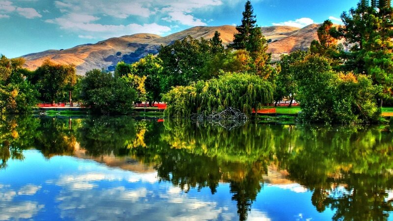 Lake with Tree Reflections — Blue, Serene, Afternoon, Photograph, Trees