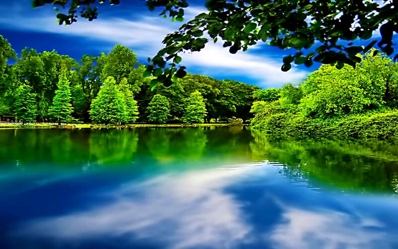 Lake with Tree Reflections — Blue, Serene