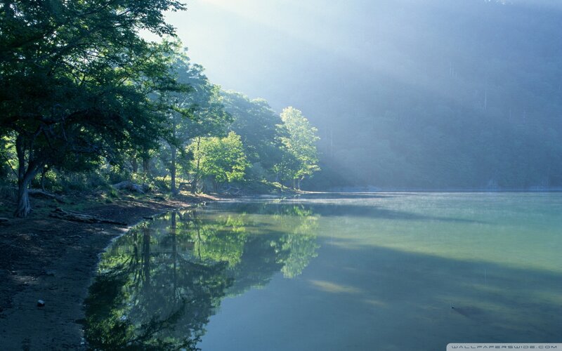 Lake with Tree Reflections — Green