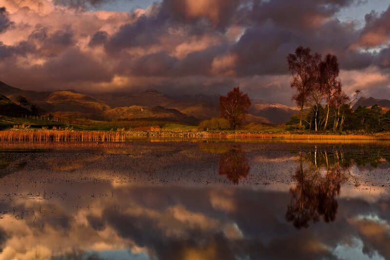 Lake with Tree Reflections — Orange