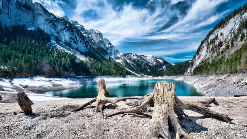 Lake with Tree Stumps