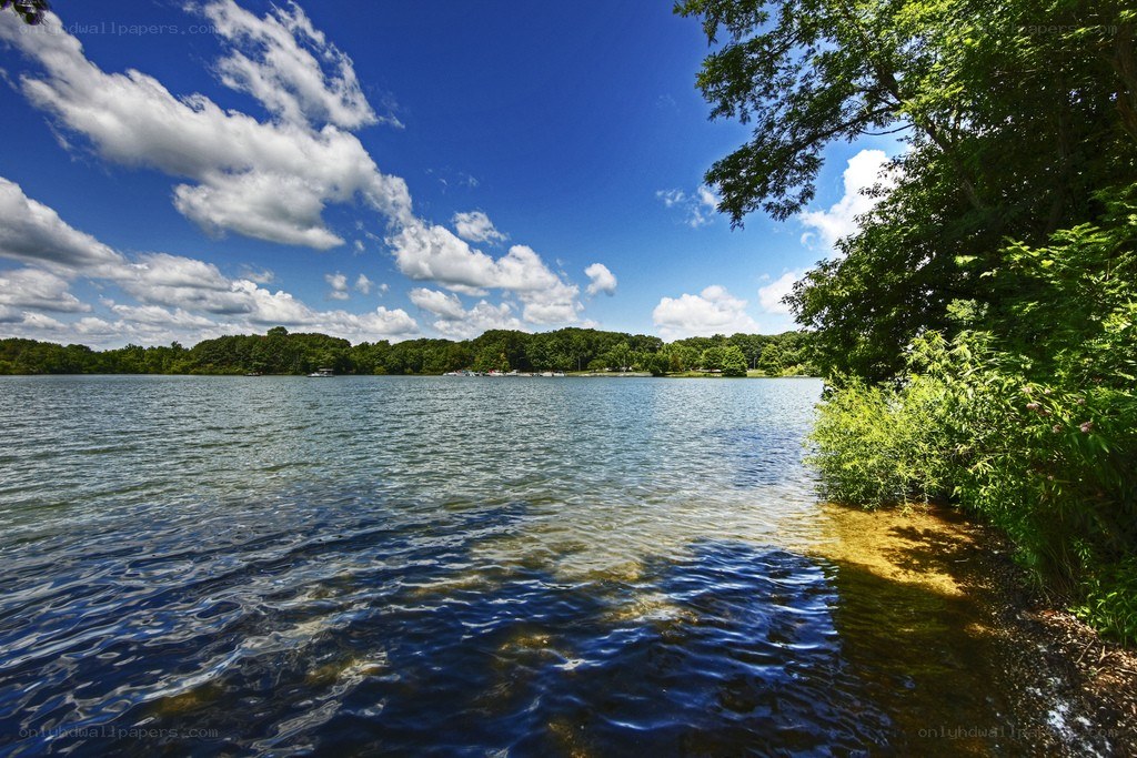 Lake with trees and blue sky