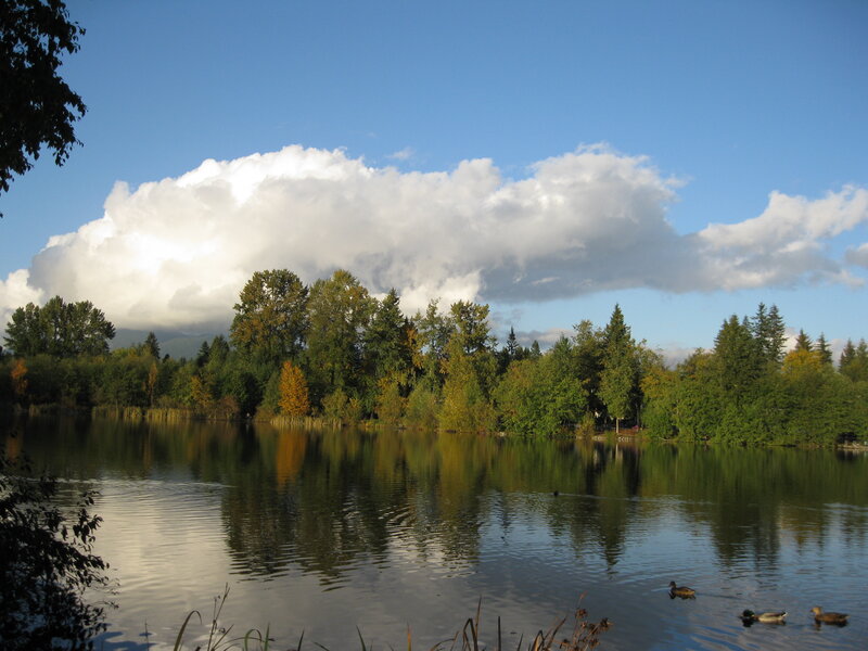 Lake with trees and clouds