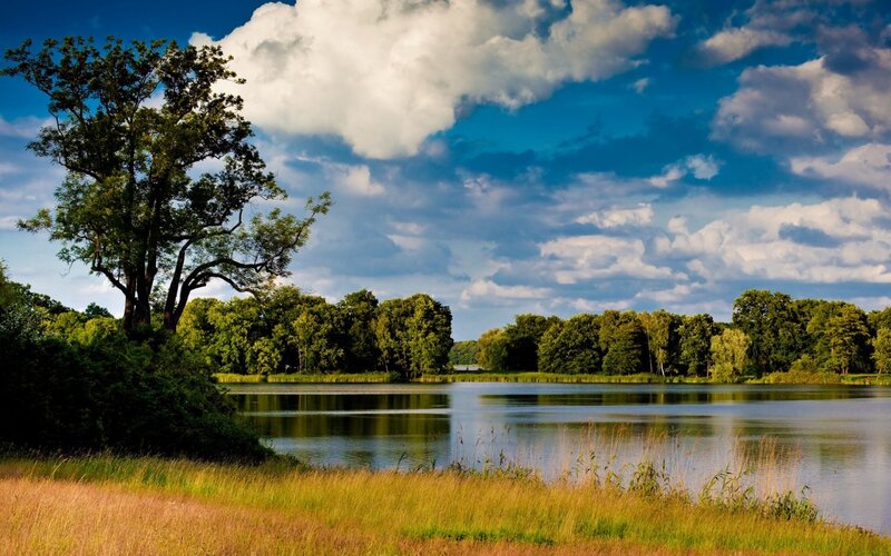 Lake with Trees and Clouds — Blue, Serene, Afternoon, Photograph, Tree