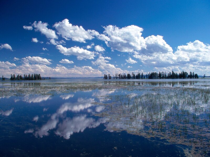 Lake with Trees and Clouds — Blue, Serene, Afternoon