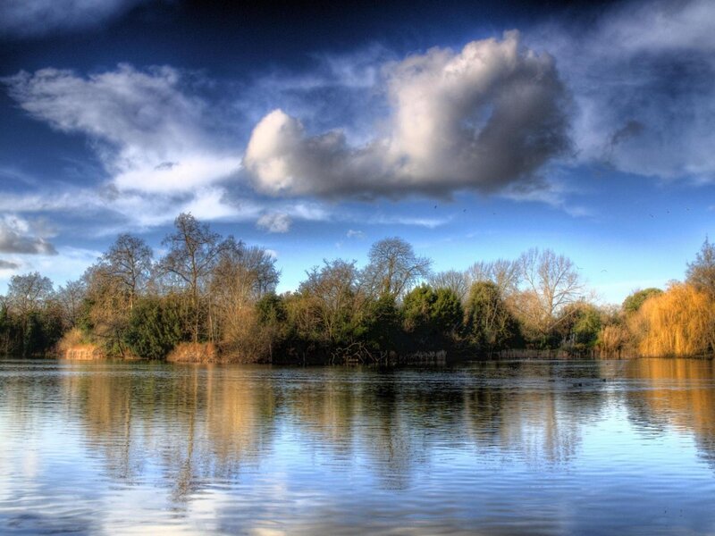 Lake with Trees and Clouds — Blue
