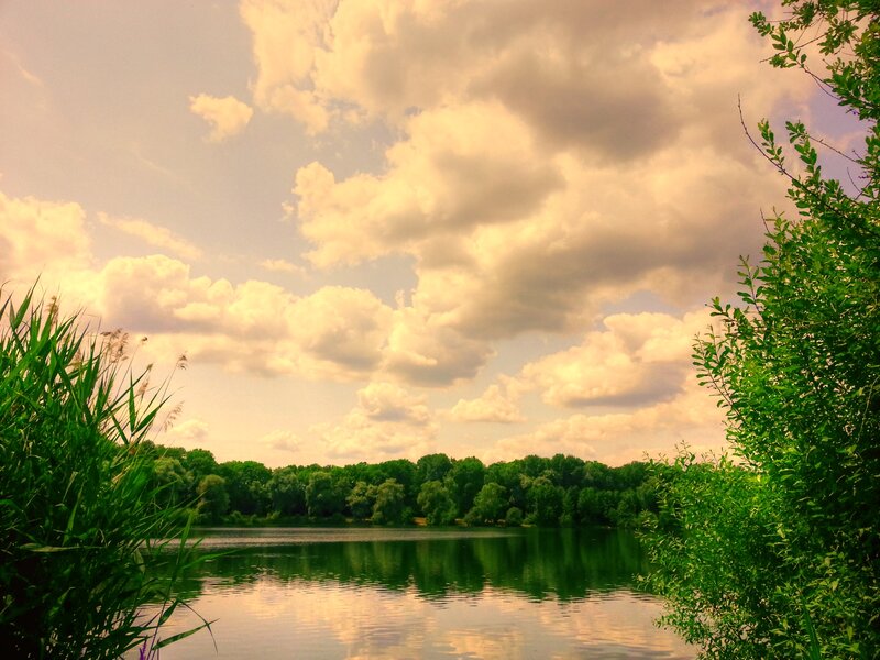 Lake with Trees and Clouds — Green