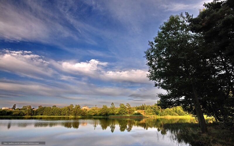 Lake with trees and clouds