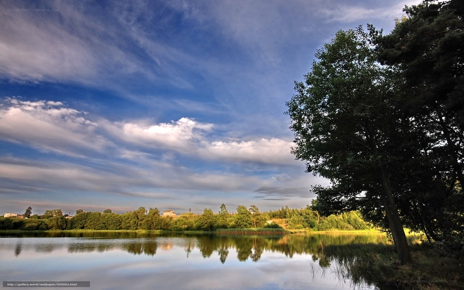 Lake with trees and clouds