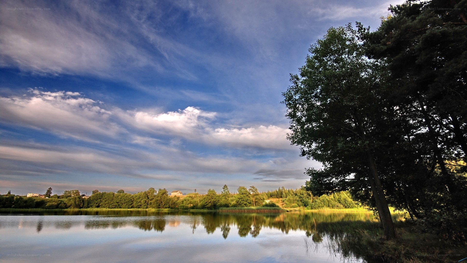 Lake with trees and cloudy sky