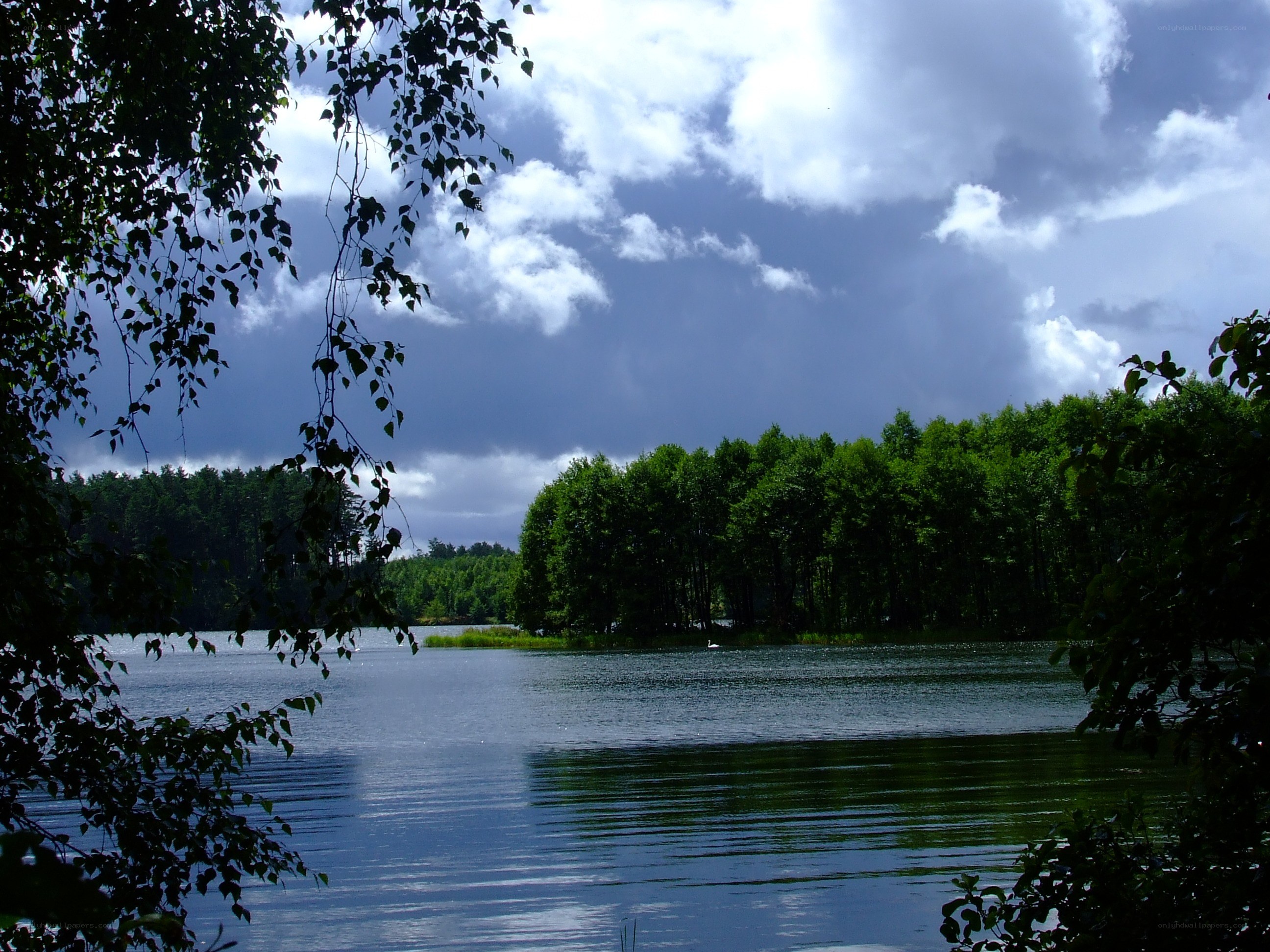 Lake with trees and cloudy sky