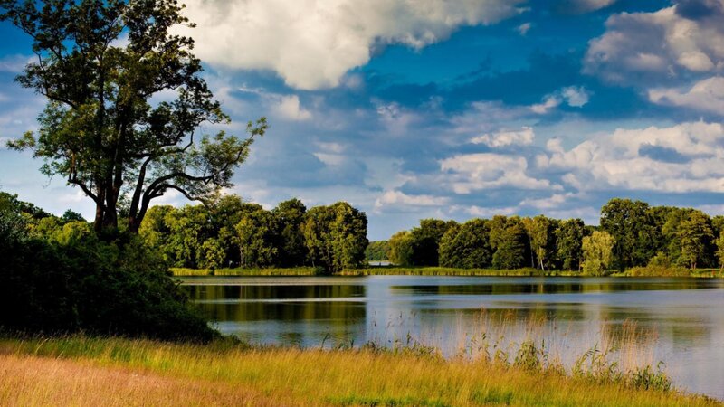 Lake with Trees and Grass