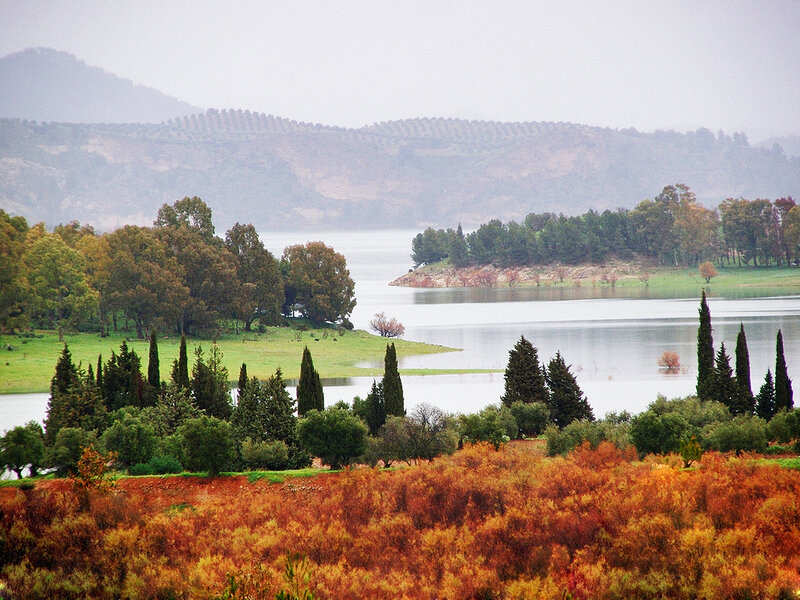 Lake with Trees and Hills — Green, Calm