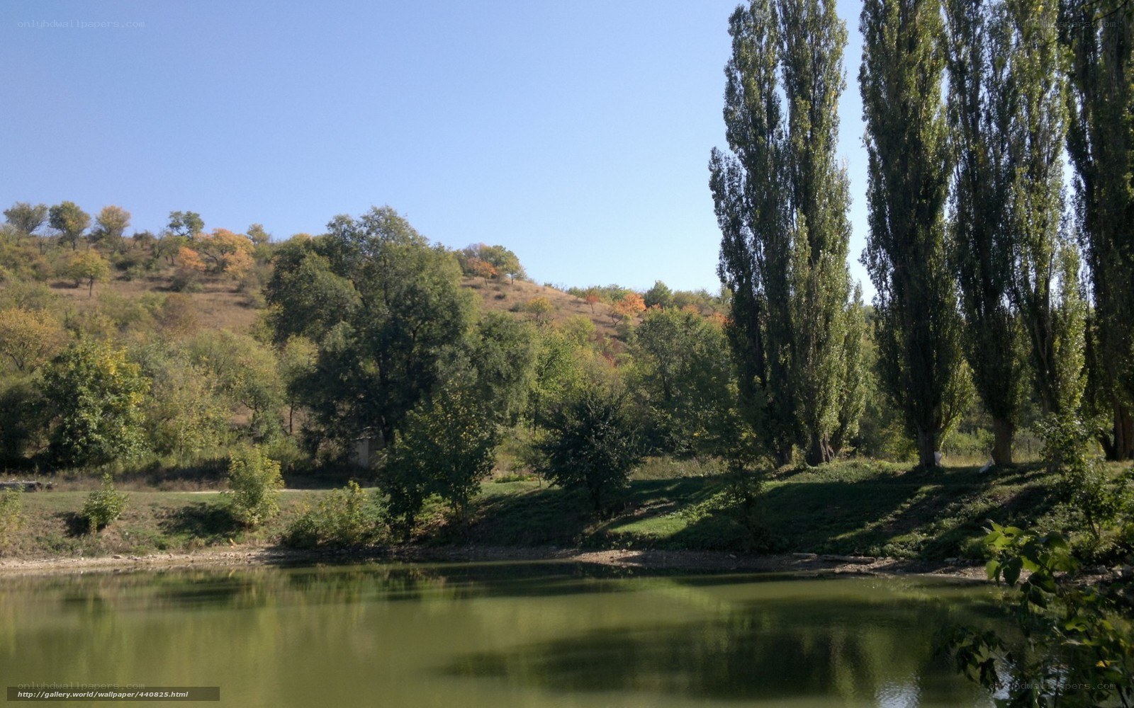 Lake with trees and hills