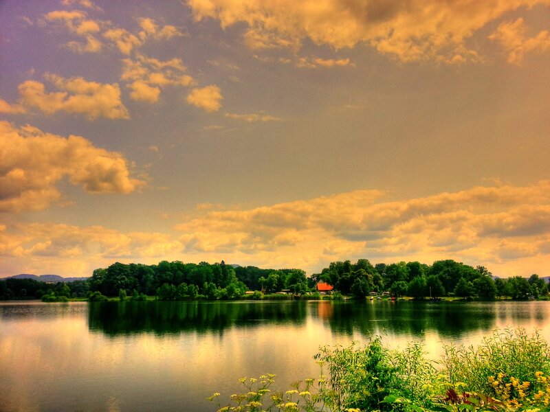 Lake with Trees and House — Green